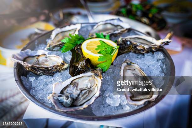 half dozen fresh oysters are served with lemon in bowl with plenty of ice. - kokkel stockfoto's en -beelden