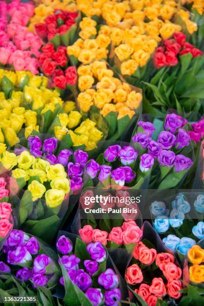 roses offered at the flower market early morning, bangkok, thailand - rose colored stock-fotos und bilder