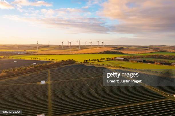 drone view over a field of solar panels and wind turbines agricultural alternatives - green economy foto e immagini stock