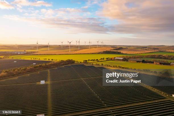 drone view over a field of solar panels and wind turbines agricultural alternatives - green economy stockfoto's en -beelden