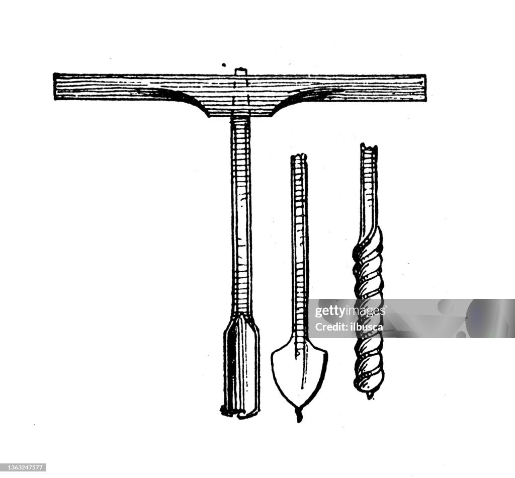 Antique illustration: Auger