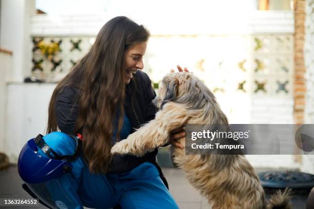 a nurse arrives home and is greeted by her dog. - returning home after work stock pictures, royalty-free photos & images