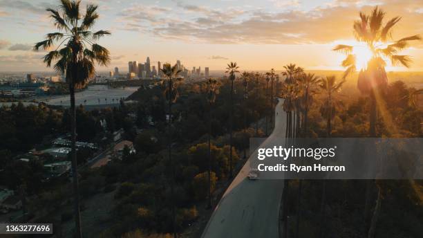 palmengesäumte straße mit blick auf los angeles bei sonnenuntergang - beverly hills stock-fotos und bilder