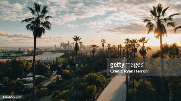 palmengesäumte straße mit blick auf los angeles bei sonnenuntergang - california stock-fotos und bilder