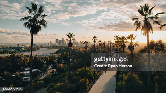 Rue bordée de palmiers surplombant Los Angeles au coucher du soleil Rue bordée de palmiers surplombant Los Angeles au coucher du soleil