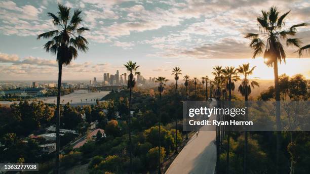 rue bordée de palmiers surplombant los angeles au coucher du soleil - los ángeles photos et images de collection