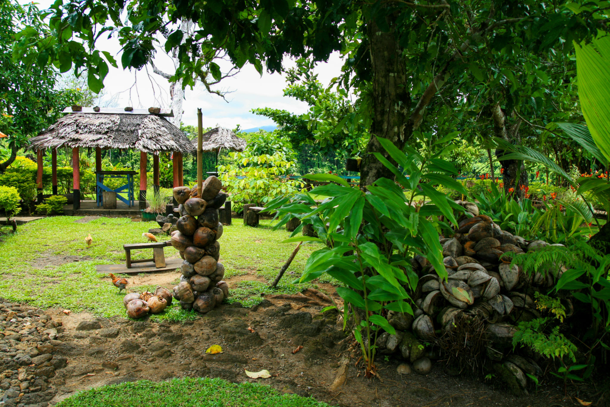 apia community
