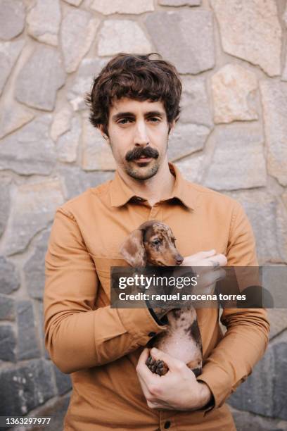 miniature chocolate dapple dachshund puppy in his owner's arms with hand tattoos - teckel stock-fotos und bilder