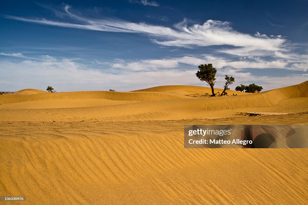 Sahara Desert