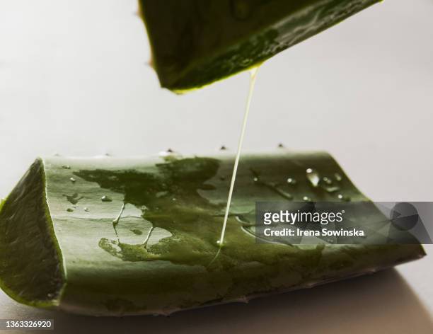 aloe vera - aloe slices stock pictures, royalty-free photos & images