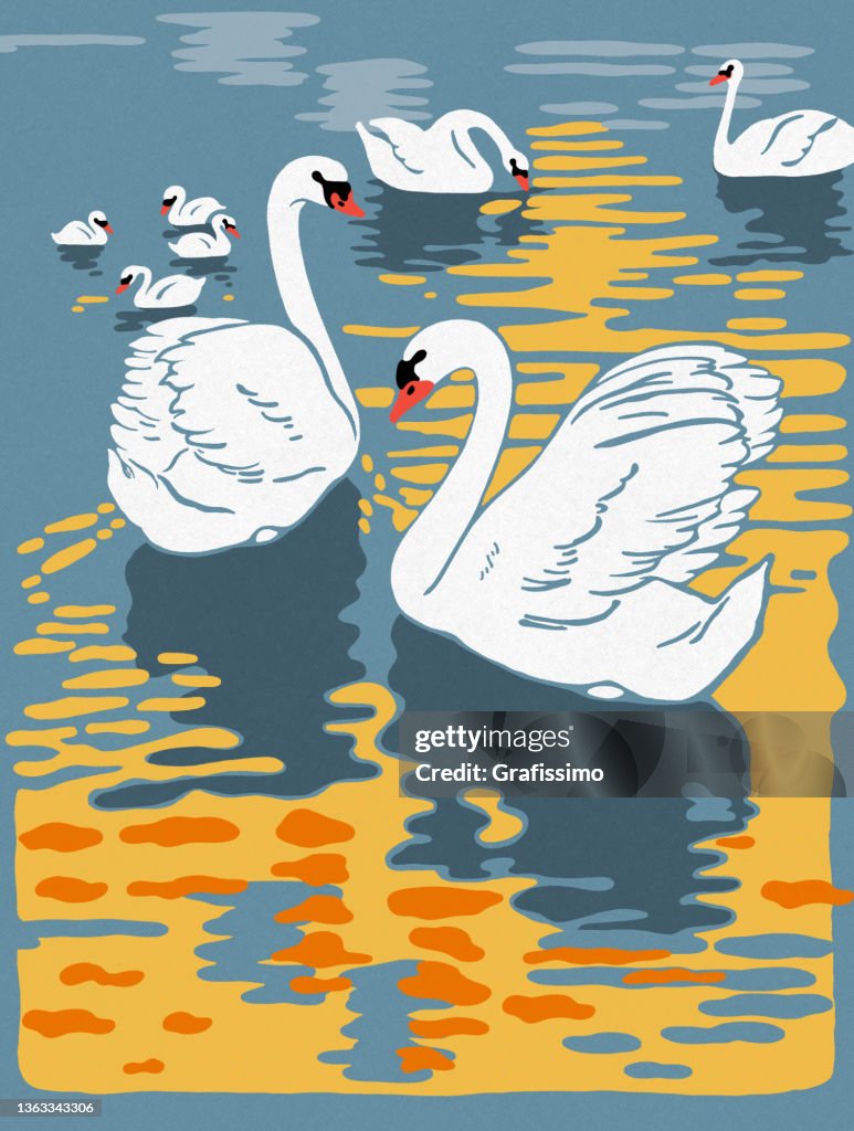 Art nouveau projeta cisnes nadando no desenho do lago em 1899