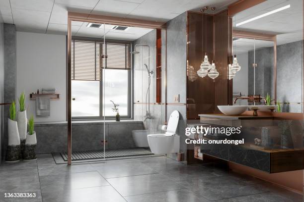 interni del bagno di lusso con doccia, wc, specchio e oggetti decorativi - impianto domestico foto e immagini stock