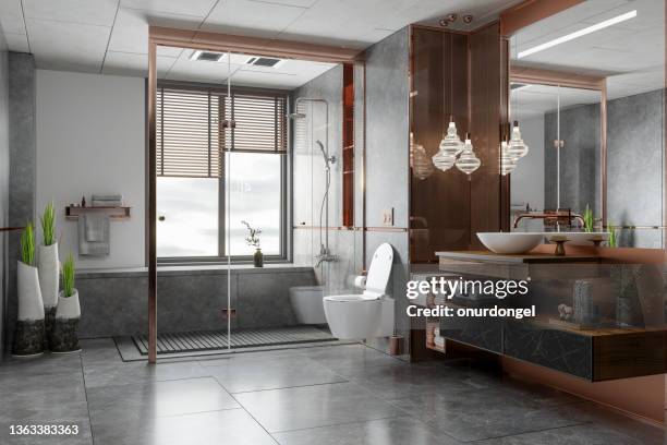 luxury bathroom interior with shower, toilet, mirror and decorative objects - tile stockfoto's en -beelden