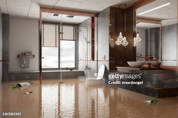 flooded bathroom with potted plants floating on water - damaged stock pictures, royalty-free photos & images