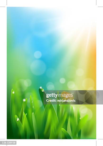 illustrazioni stock, clip art, cartoni animati e icone di tendenza di morning dew sull'erba - blades of grass