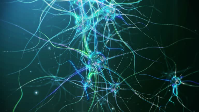 Peripheral Nerve System Videos and HD Footage - Getty Images