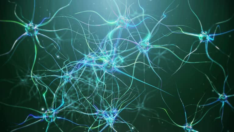 Peripheral Nerve System Videos and HD Footage - Getty Images