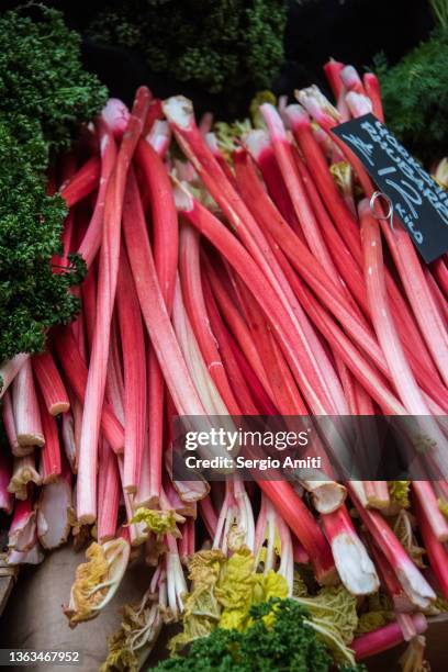 rhubarb on sale at market - ruibarbo planta - fotografias e filmes do acervo