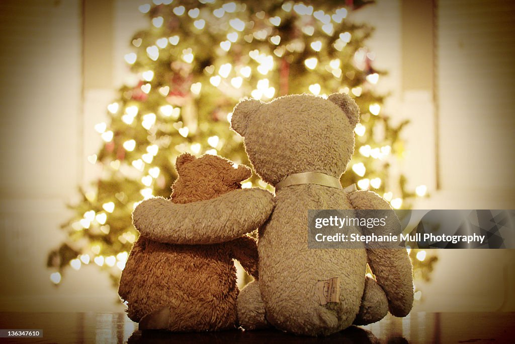 Teddy bear fiends at Christmas