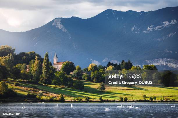 french landscape with small church steeple along rhone river and grand colombier bugey alps mountains in summer - grand colombier ain stock pictures, royalty-free photos & images