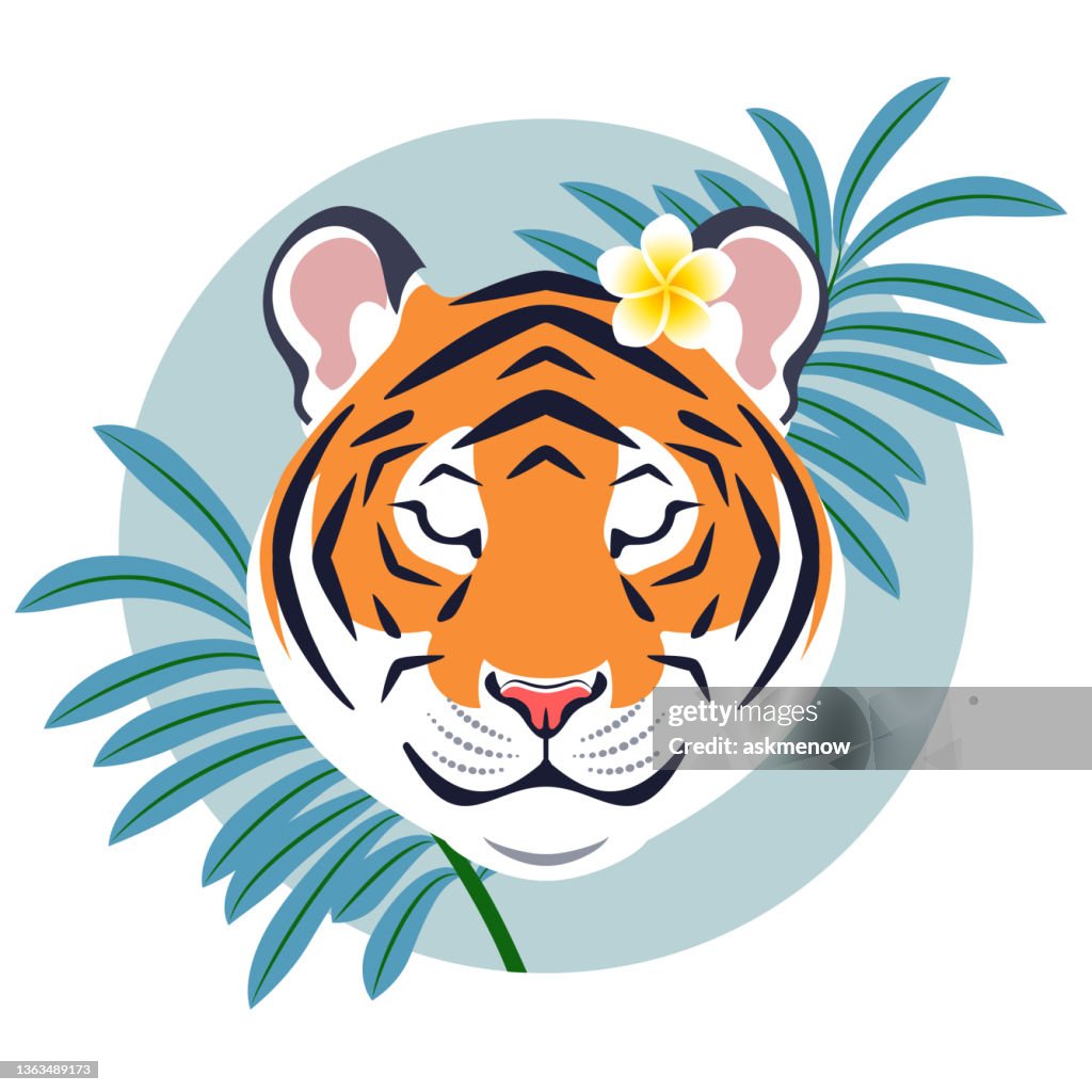 Friendly Tigers Head High-Res Vector Graphic - Getty Images