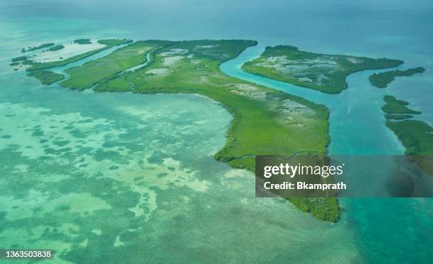 aerial view of the beautiful san pedro island and surrounding reefs in the caribbean nation of belize - gulf of mexico aerial stock pictures, royalty-free photos & images