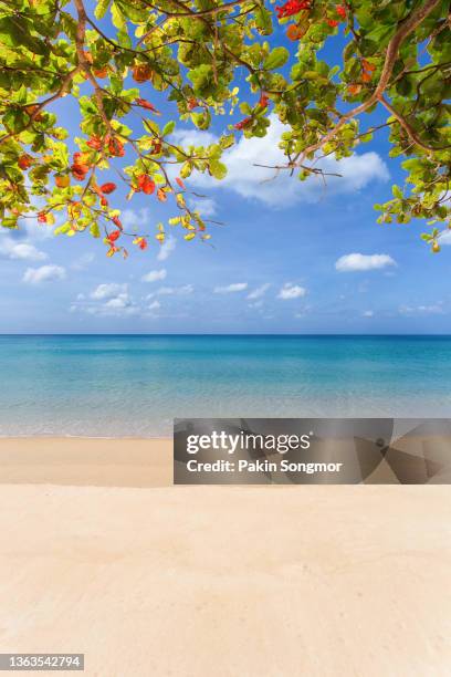 similan islands, mu ko similan national park, phang-nga, thailand. beautiful nature of the islands in the andaman sea. - archipelago stock pictures, royalty-free photos & images