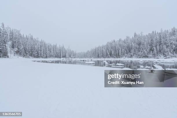 winter frozen river - tree plantation stock pictures, royalty-free photos & images