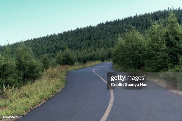 Eastern Rural Road Eastern Road Nature Reserve Photos and Premium High Res Pictures ...