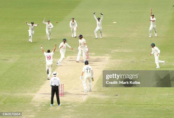 Scott Boland of Australia celebrates the wicket of Jonny Bairstow of England caught by Marnus Labuschagne of Australia during day five of the Fourth...