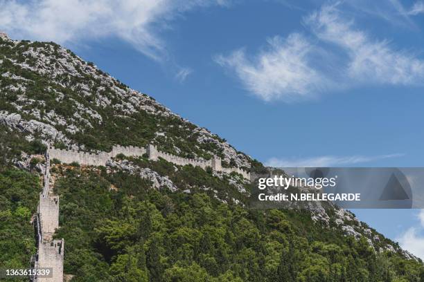 walls of ston - ston croatia stock pictures, royalty-free photos & images