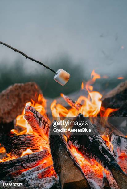 close-up roasting marshmallows over campfire - marsh mallows stock pictures, royalty-free photos & images