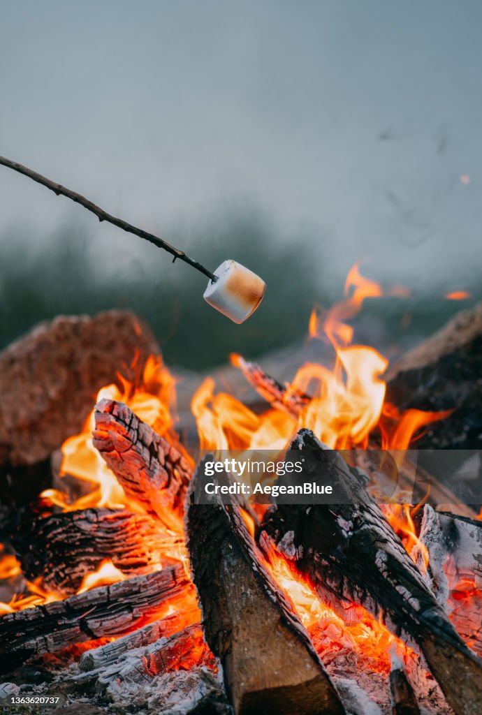 Close-Up Roasting Marshmallows Over Campfire