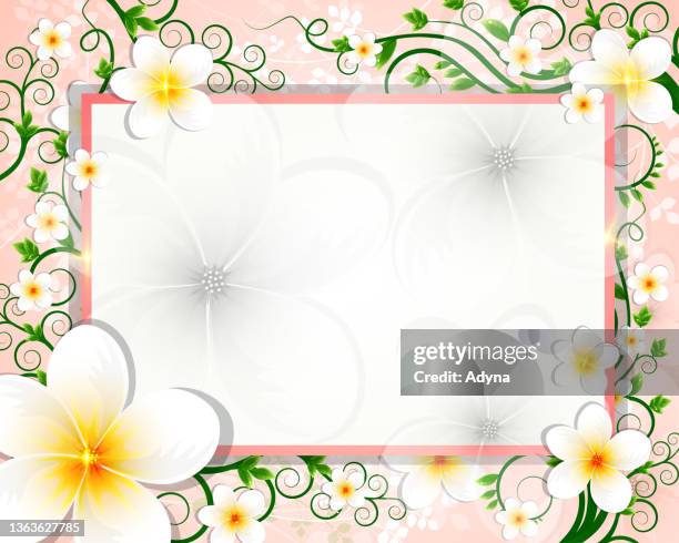 spring background - jasmine stock illustrations