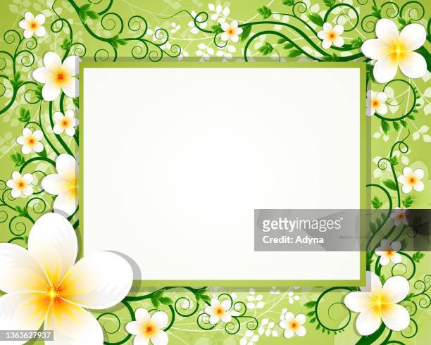 grün floral hintergrund - jasmine flower stock-grafiken, -clipart, -cartoons und -symbole