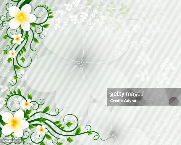 jasmine background - spring pollen stock illustrations