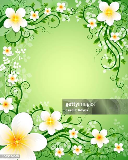 stockillustraties, clipart, cartoons en iconen met fresh jasmine - jasmine flower