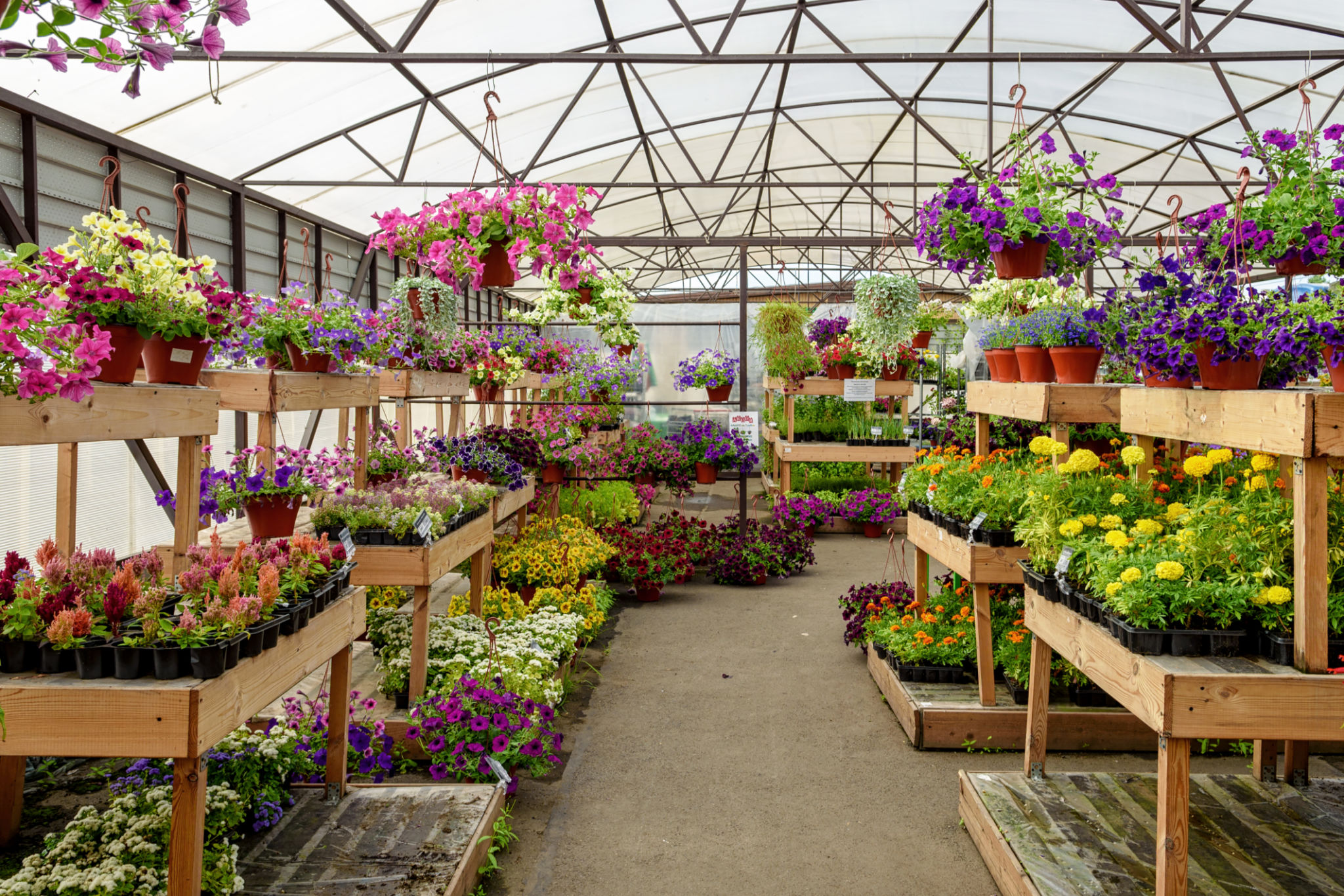 flower mound business