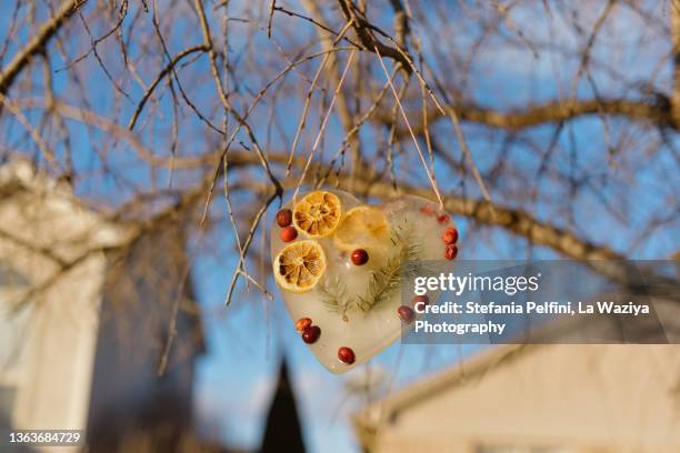 heart shaped suncatcher hanging from a tree branch. - cranberry heart stock-fotos und bilder