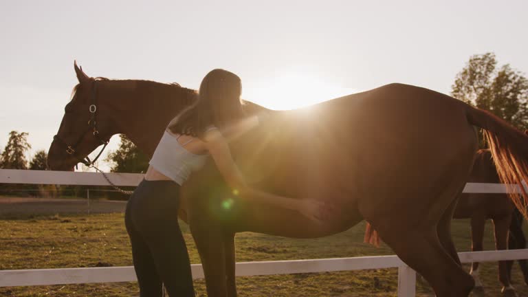 3,906 Women Doing Farm Animals Videos and HD Footage - Getty Images 3,906 Women Doing Farm Animals Videos and HD Footage - Getty Images