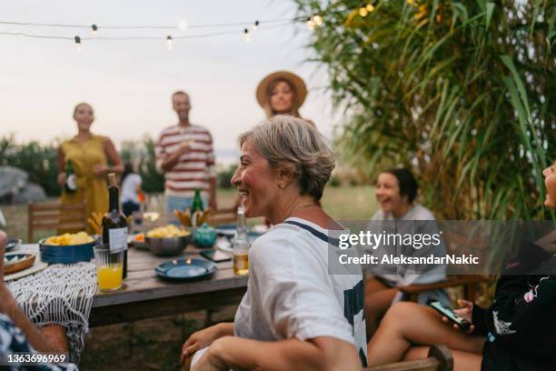 summer dinner party - family gathering stockfoto's en -beelden