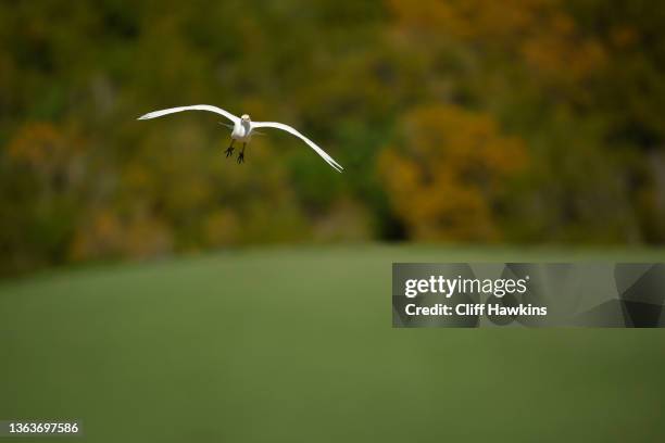 Bird is seen on the fifth hole during the final round of the Sentry Tournament of Champions at the Plantation Course at Kapalua Golf Club on January...