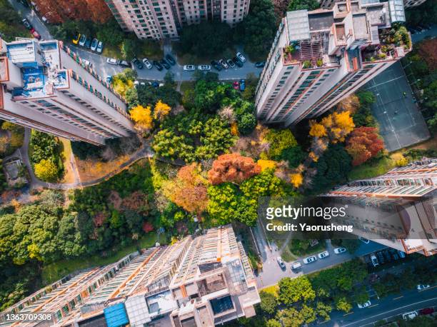 aerial view of residential building in fall season - car top view stock pictures, royalty-free photos & images