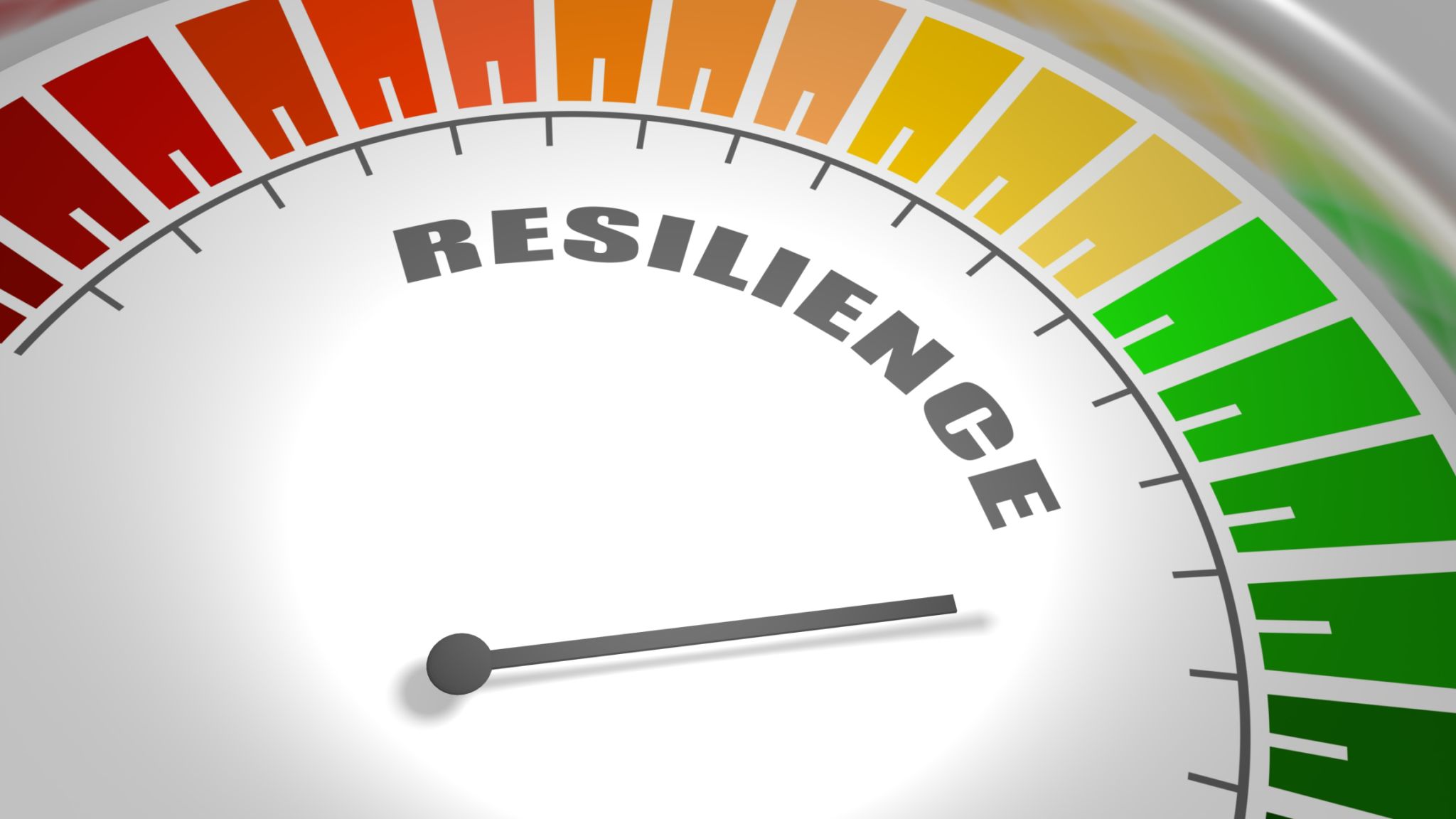 education resilience