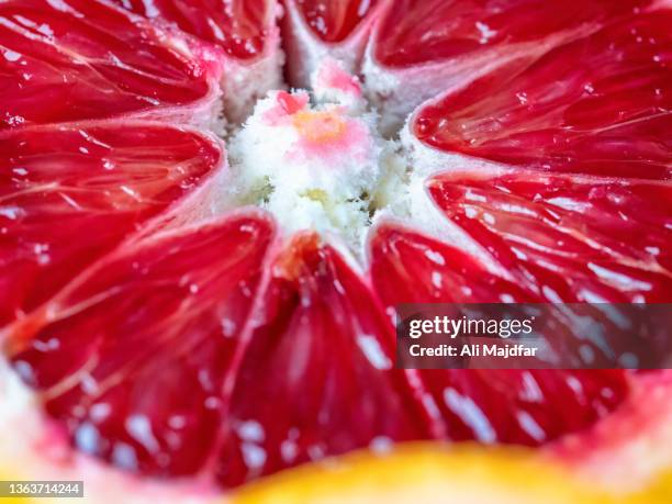 sanguinelli - blood orange isolated stock pictures, royalty-free photos & images