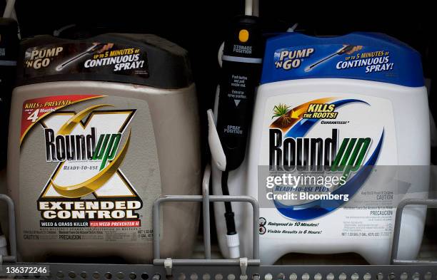 Containers of Roundup, a weed killer by Monsanto Co., are displayed for sale at a Home Depot Inc. Store in the Brooklyn borough of New York, U.S., on...