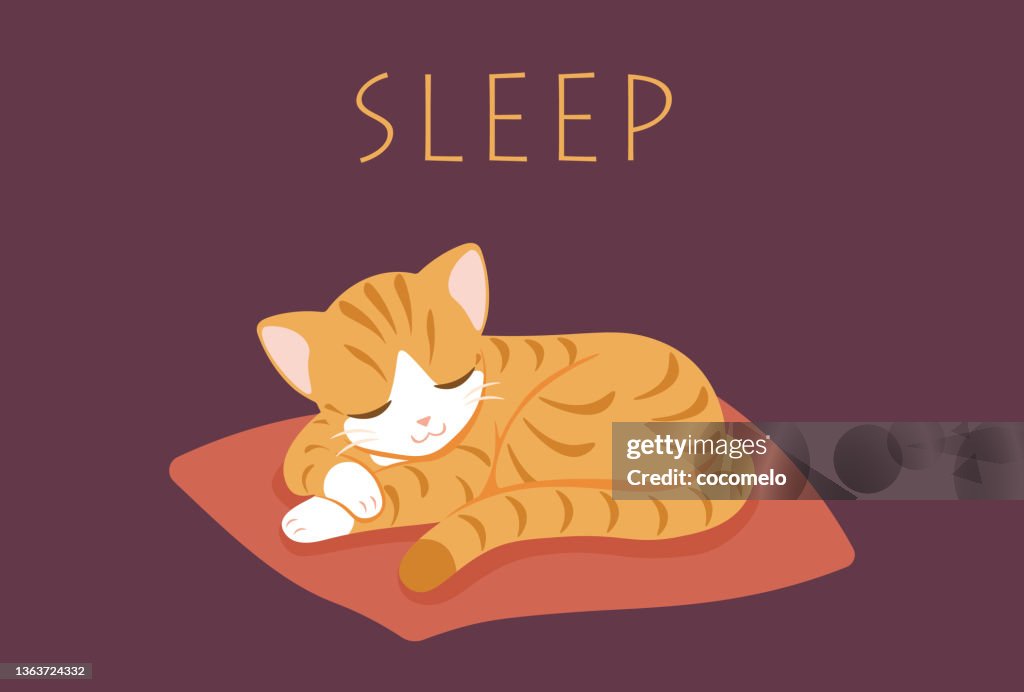 Yellow cute striped cat sleeping curled on rug.