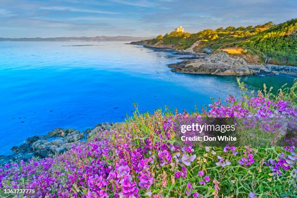 victoria, vancouver island - british columbia landscape stock pictures, royalty-free photos & images