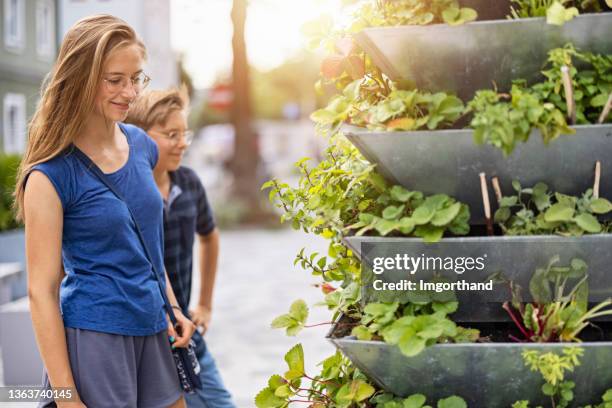 brother and sister admiring vertical garden - boys and girls town stockfoto's en -beelden