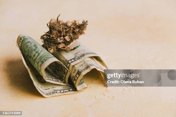 dried cannabis laying down on dollar bills. - cannabis store stockfoto's en -beelden